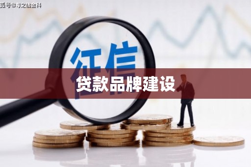 长海贷款品牌建设