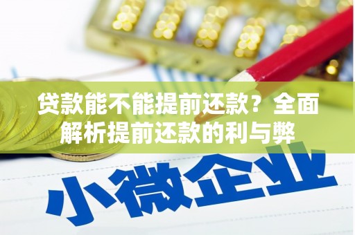 长海贷款能不能提前还款？全面解析提前还款的利与弊