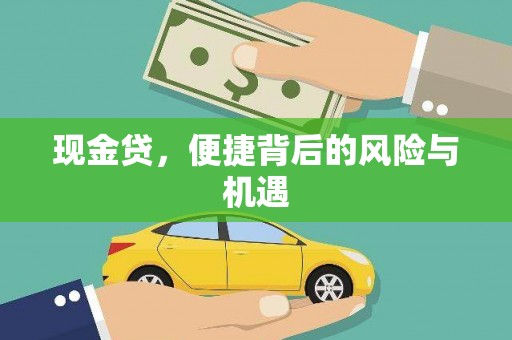 长海现金贷，便捷背后的风险与机遇