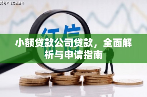 长海小额贷款公司贷款，全面解析与申请指南