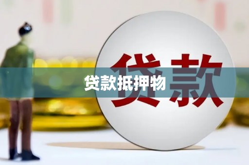 长海贷款抵押物
