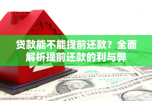 长海贷款能不能提前还款？全面解析提前还款的利与弊