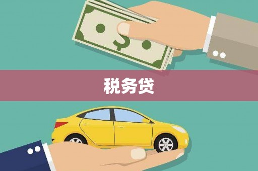 长海税务贷