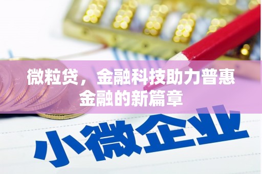 长海微粒贷，金融科技助力普惠金融的新篇章