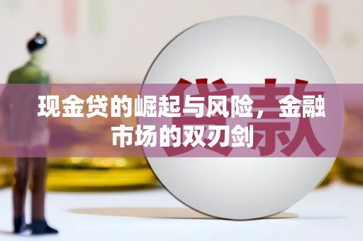 长海现金贷的崛起与风险，金融市场的双刃剑