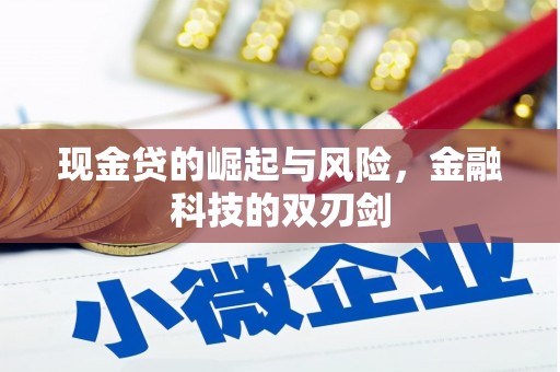 长海现金贷的崛起与风险，金融科技的双刃剑