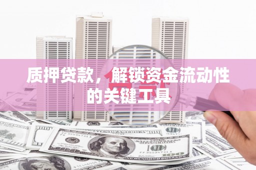 长海质押贷款，解锁资金流动性的关键工具