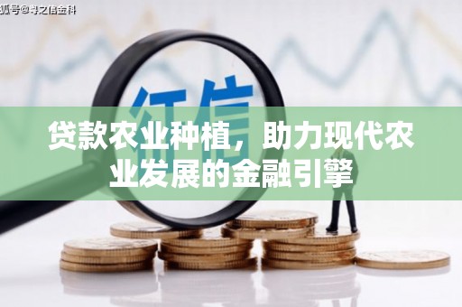 长海贷款农业种植，助力现代农业发展的金融引擎