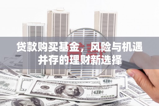 长海贷款购买基金，风险与机遇并存的理财新选择