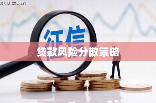长海贷款风险分散策略