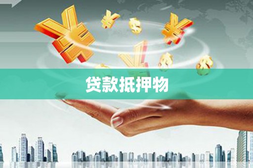 长海贷款抵押物