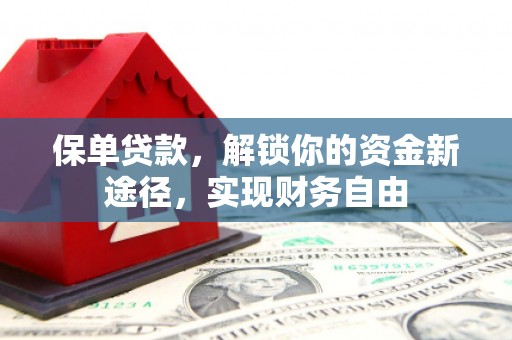 长海保单贷款，解锁你的资金新途径，实现财务自由