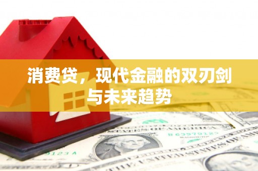 长海消费贷，现代金融的双刃剑与未来趋势