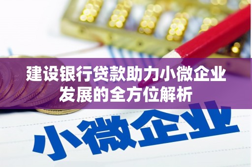 长海建设银行贷款助力小微企业发展的全方位解析