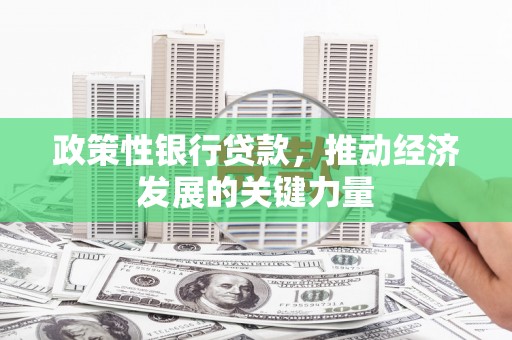 长海政策性银行贷款，推动经济发展的关键力量
