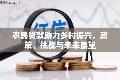 长海农民贷款助力乡村振兴，政策、挑战与未来展望