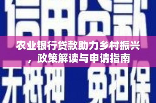 长海农业银行贷款助力乡村振兴，政策解读与申请指南