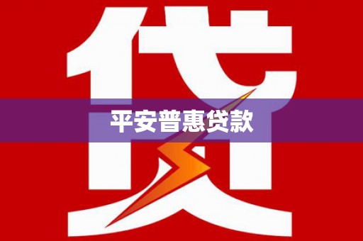长海平安普惠贷款