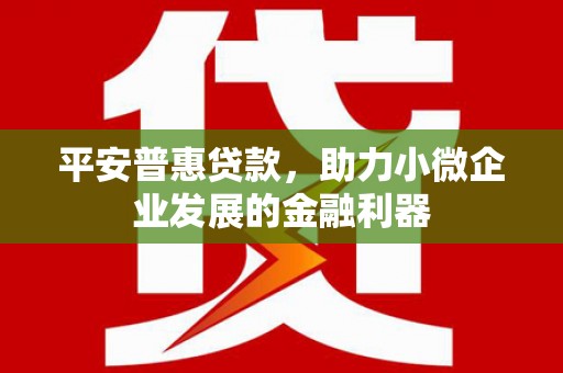 长海平安普惠贷款，助力小微企业发展的金融利器