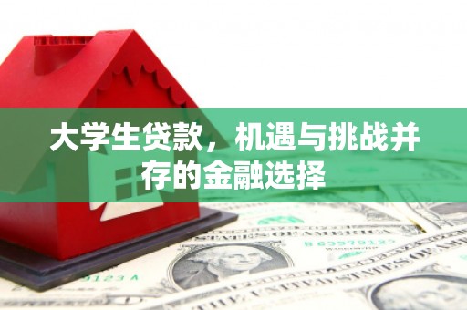 长海大学生贷款，机遇与挑战并存的金融选择