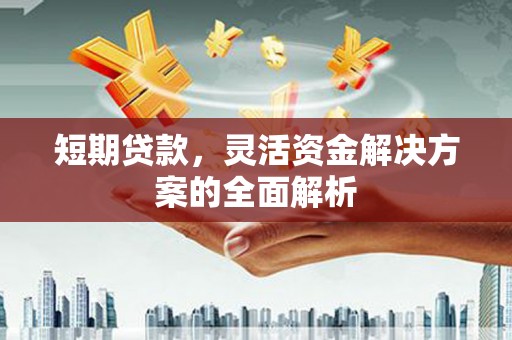 长海短期贷款，灵活资金解决方案的全面解析