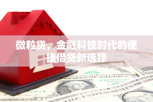 长海微粒贷，金融科技时代的便捷借贷新选择