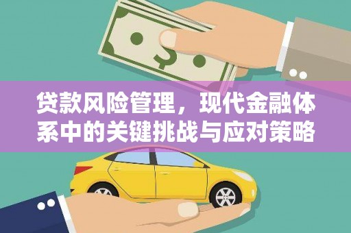 长海贷款风险管理，现代金融体系中的关键挑战与应对策略
