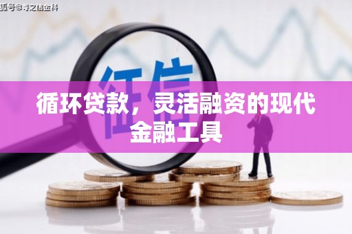 长海循环贷款，灵活融资的现代金融工具