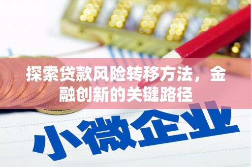长海探索贷款风险转移方法，金融创新的关键路径