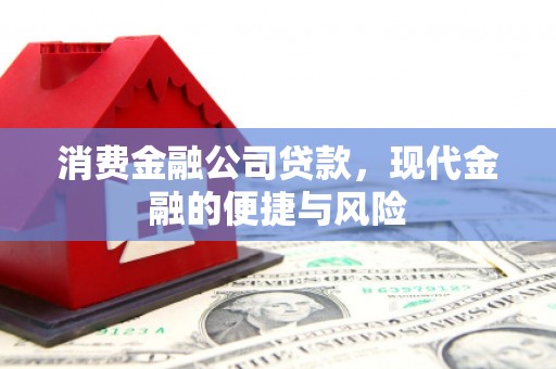 长海消费金融公司贷款，现代金融的便捷与风险