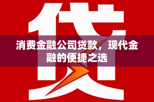 长海消费金融公司贷款，现代金融的便捷之选