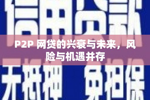 长海P2P 网贷的兴衰与未来，风险与机遇并存