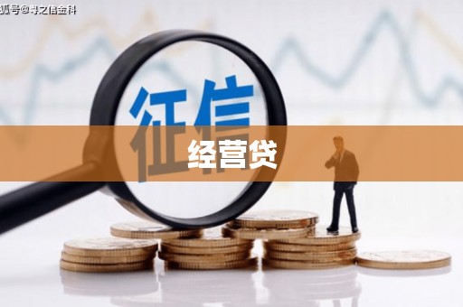 长海经营贷