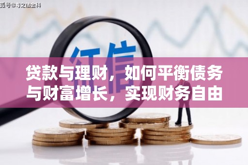 长海贷款与理财，如何平衡债务与财富增长，实现财务自由