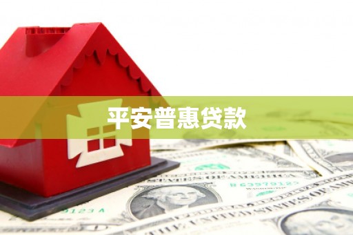 长海平安普惠贷款